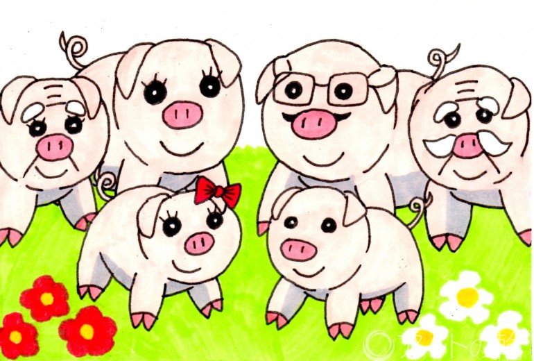 豚の家族