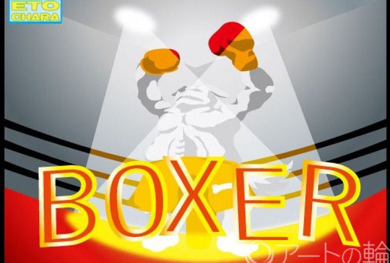 ボクサー犬 - ショウヘイ 