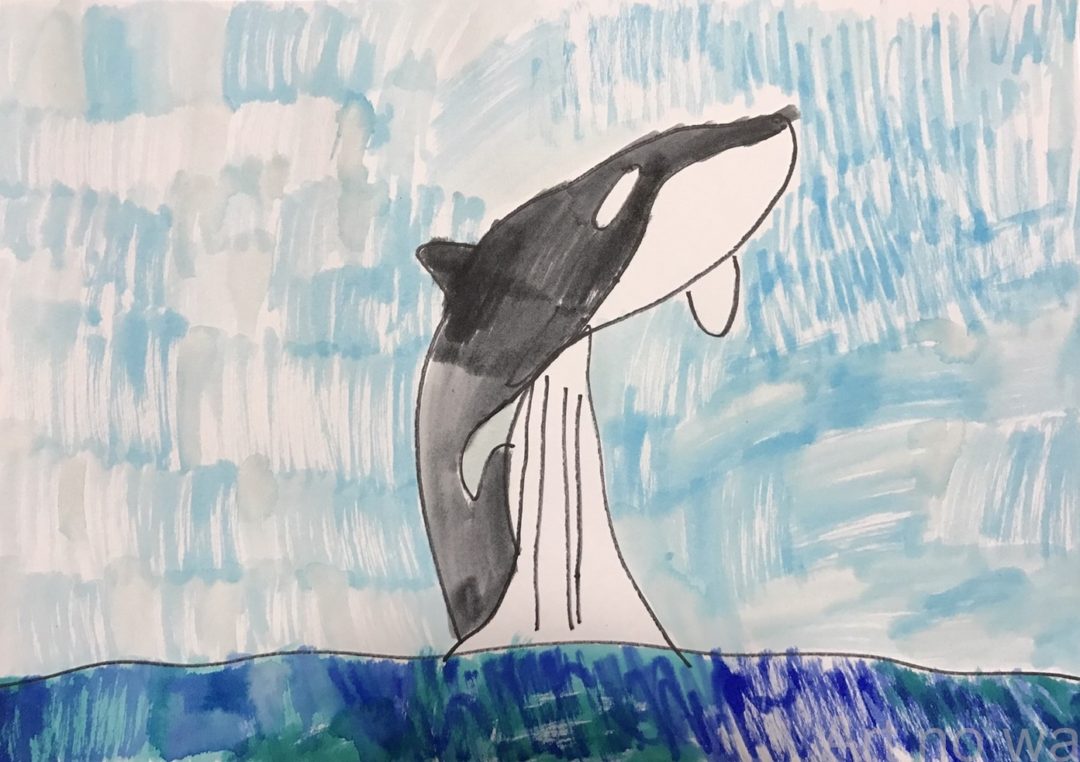 シャチ | アートの輪