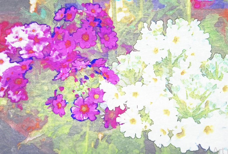 小さな花2