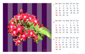 2019_Calendar_3 - 太陽 