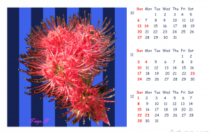 2019_Calendar_4 - 太陽 
