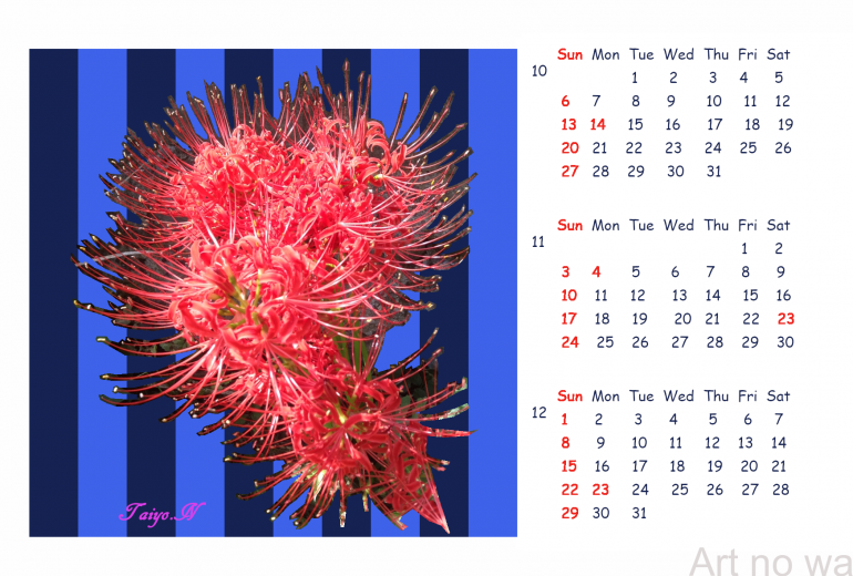 2019_Calendar_4