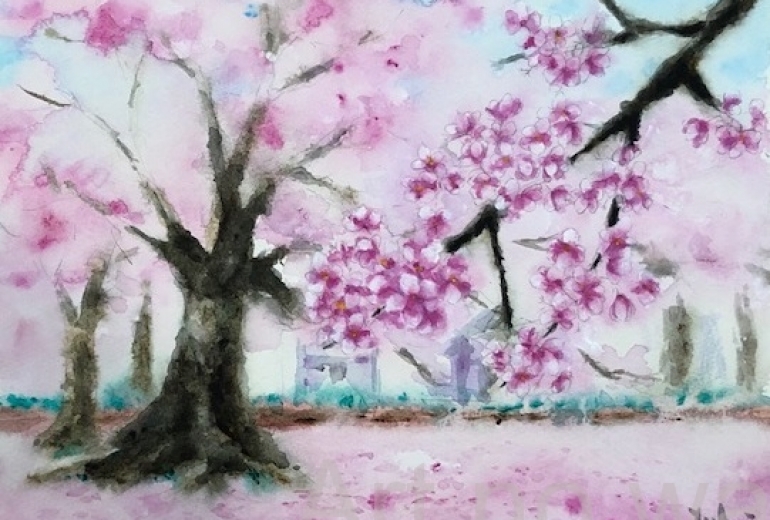 桜