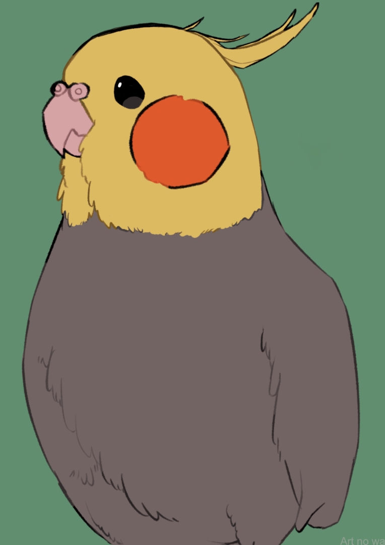 オカメインコ アートの輪