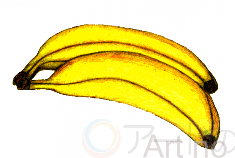 バナナ描いてみました。