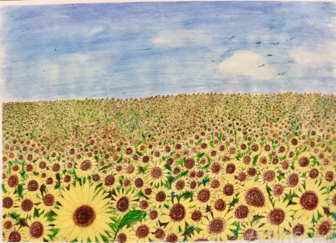 ひまわり畑 | アートの輪