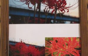 柿沼良多 彼岸花 - 【イベント】第4回 障がい者アート展