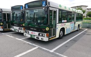 梅雨の晴れ間に その1 - 中河原昭仁