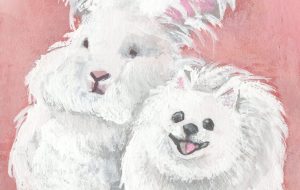 アンゴラウサギとポメラニアン - Mika Neichi