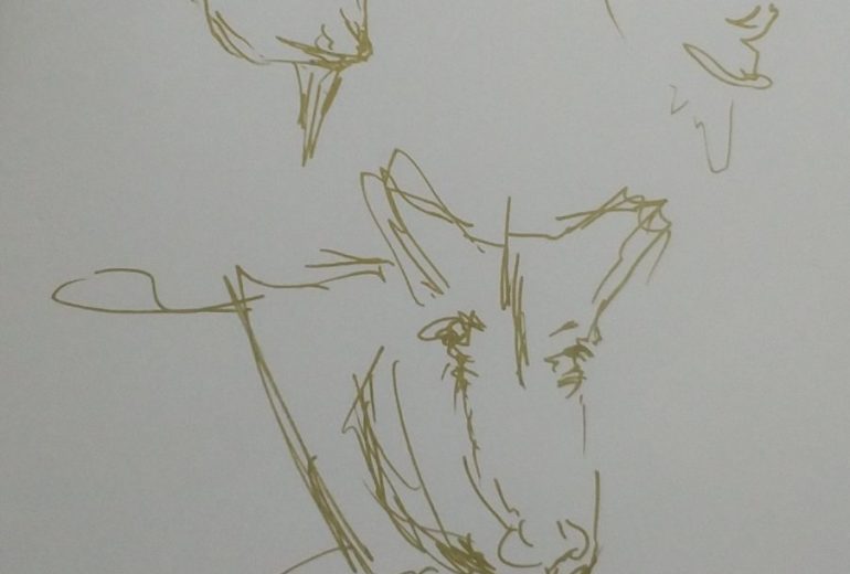 じっとしないから、じっくり描けないヤギ