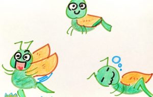 バッタ - クルミ