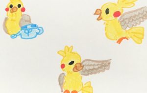黄色い鳥　2 - クルミ 