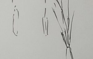 ねがい - 情報資格試験