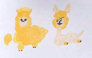 アルパカ - クルミ