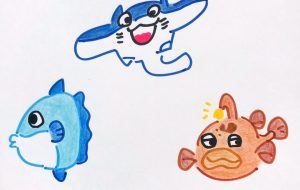 海の住人 - クルミ