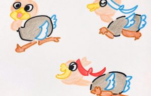 走るダチョウ - クルミ