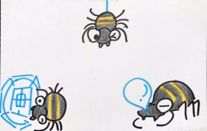 クモの1日 - クルミ