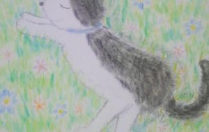 昼寝をする猫 - かいこ