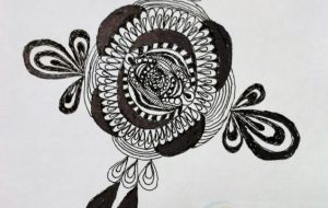 ガマグチサイフ - 夏みかん