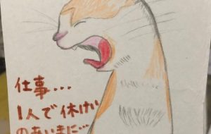 ねこ助 - さとりん