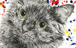 COLOR - 山田貴裕