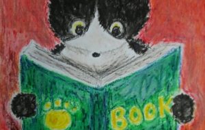 本を読む猫 - かいこ 
