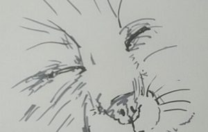 どうぶつは、いいねえ - 情報資格試験