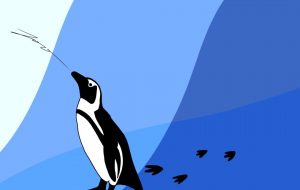 penguin - Foo 