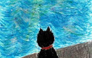 海を見る猫 - かいこ