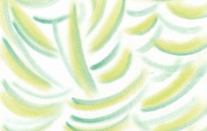 新緑の希望 - 桃うさぎ