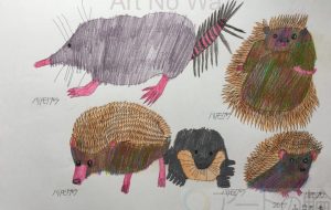 TATSUO_ハリモグラ - 【イベント】可能性アートプロジェクト 2020