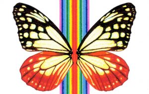 吉野公賀_七色 - 【イベント】可能性アートプロジェクト 2020