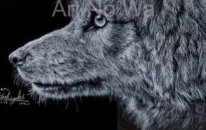 RINA_オオカミ - 【イベント】可能性アートプロジェクト 2020 