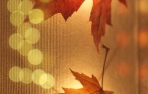 tokochan♪_きらめく秋 - 【イベント】可能性アートプロジェクト 2020