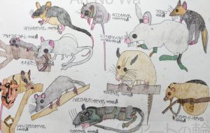 TATSUO　ネズミ - 【イベント】可能性アートプロジェクト 2020 