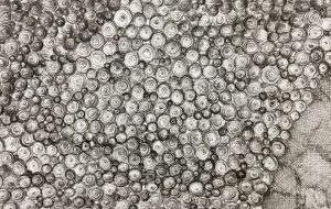 ふにゃくし。_幻の流れ - 【イベント】可能性アートプロジェクト 2020