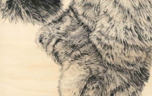 猫の手—絆 - 山田貴裕