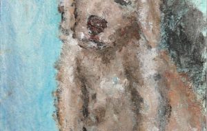 ゴールデンレトリバー - 阿部貴志