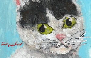 青い背景のシロちゃん - 阿部貴志