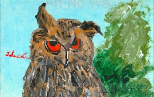 フクロウ - 阿部貴志