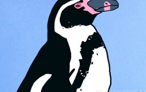 フンボルトペンギン - YU 