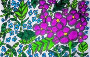 紫陽花 - 田中郷