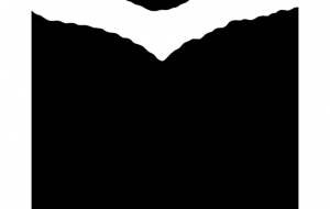 二ホンツキノワグマ(模様) - シマハイエナ