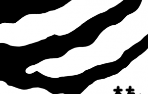 バーチェルサバンナシマウマ(模様) - シマハイエナ