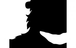 ヒマラヤツキノワグマ - シマハイエナ