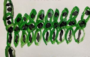 記号A - 笹谷正博