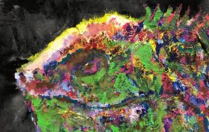 カメレオン - 縄井亜祐美