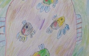 魚色鉛筆画 - マサミ