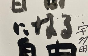 宇多田ヒカルの言葉 - 笹谷正博